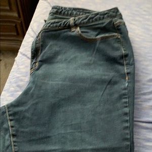 Lane Bryant jeans